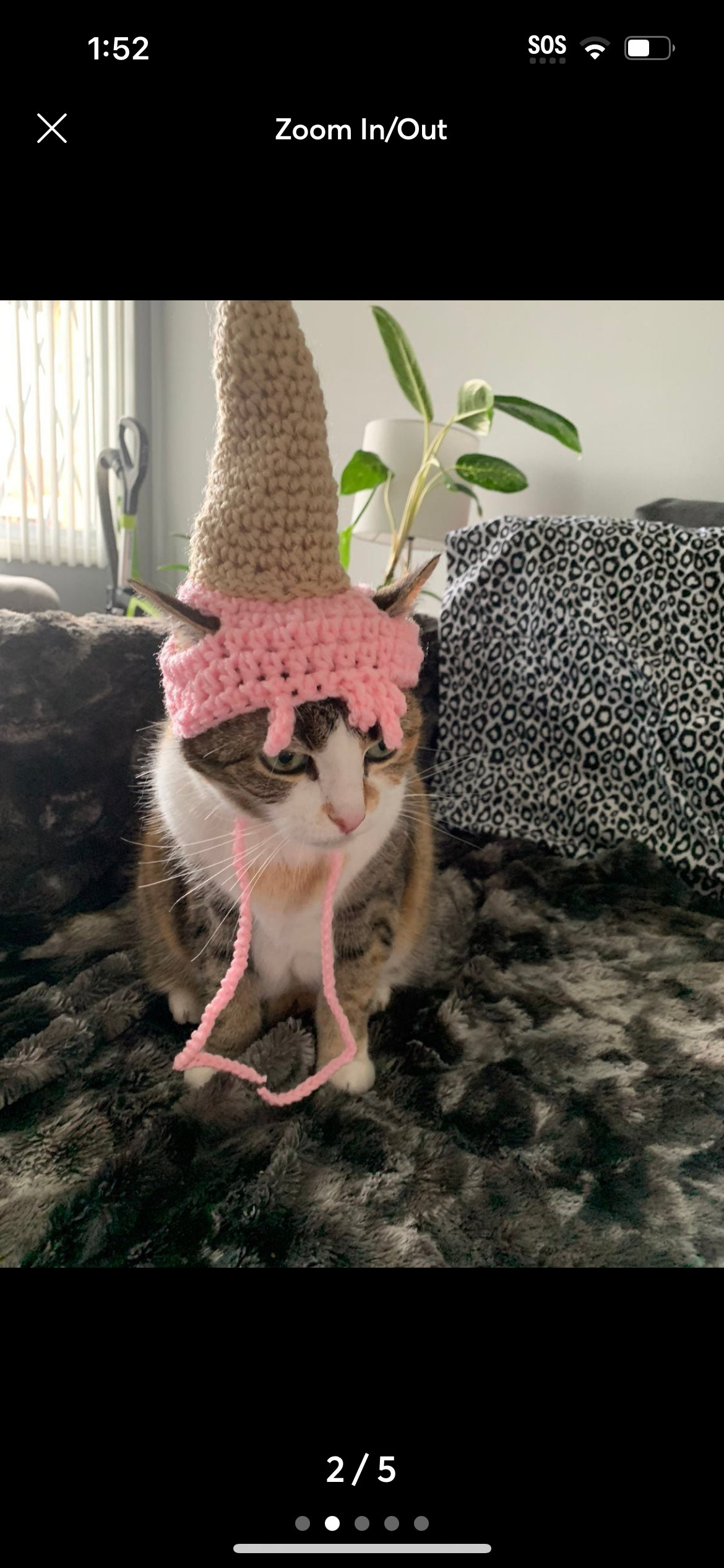 Ice cream cone pet hat